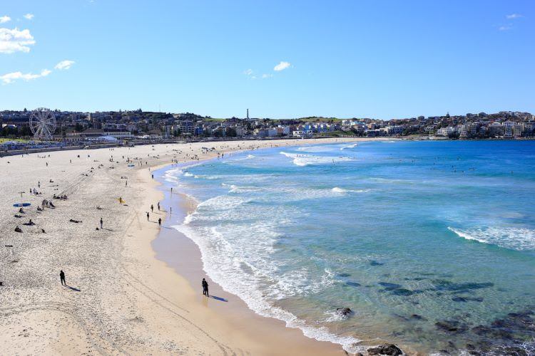Sydney travel guide 5 Bondi beach