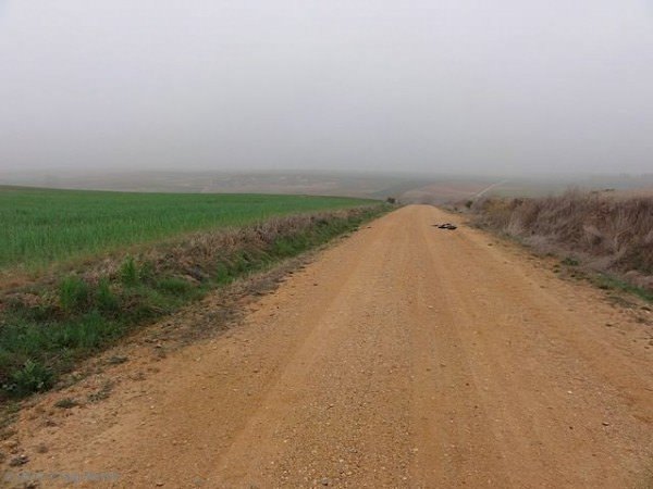 22 - mist and rain set in - via de la plata - camino de santiago - spain The weather worsens