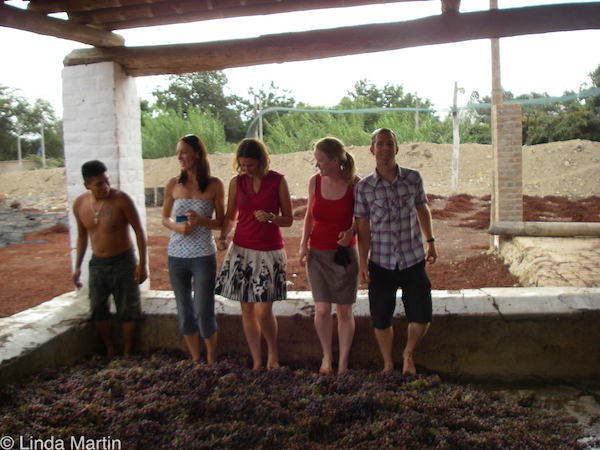 Grape crushing, Peru 4469006496 a61c608f60 b1 - South America travel podcast: Peru and Bolivia