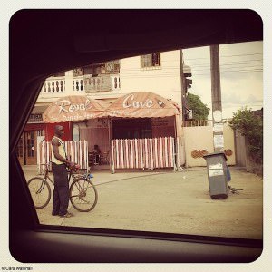 Ivory Coast maquis from car