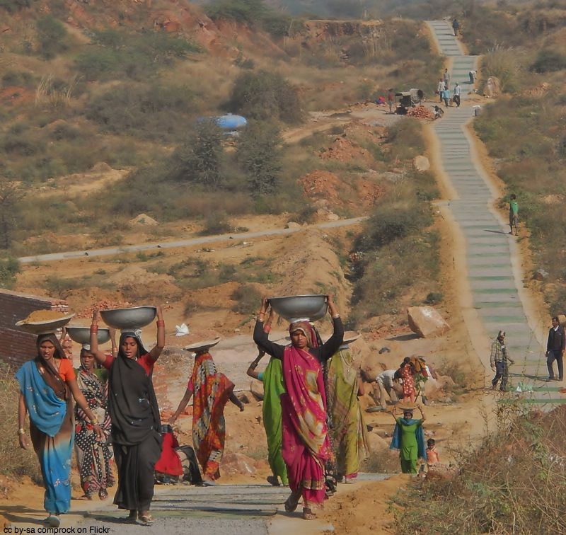Aravalli biodiversity park Gurgaon - biodiversity park