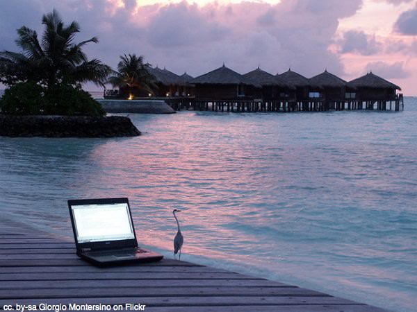 Bird, sunset and computer by Giorgio Montersino on Flickr