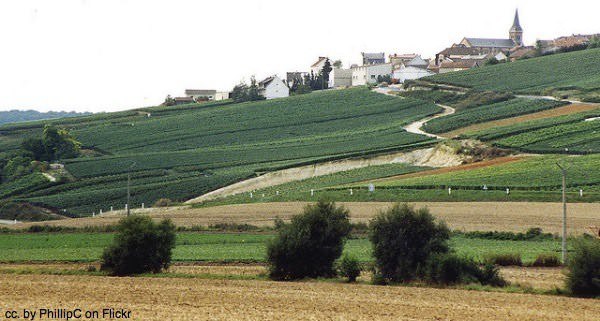 How to make Champagne - just try this at home! 1 Champagne village