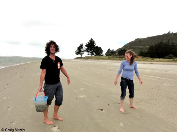 Cockle collecting in Dunedin Cockle collecting in Dunedin