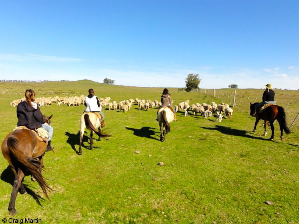 Horseriding at the estancia in Uruguay Horseriding at the estancia in Uruguay