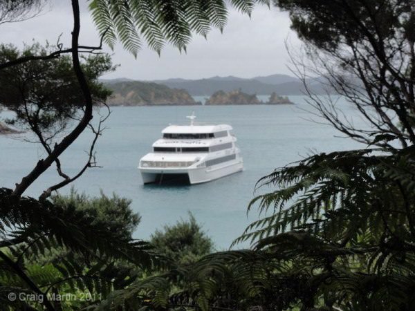 Ipipiri Cruise - the ship