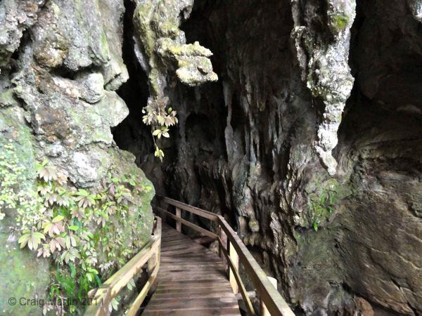 Kawiti Glowworm caves Kawiti Glowworm caves