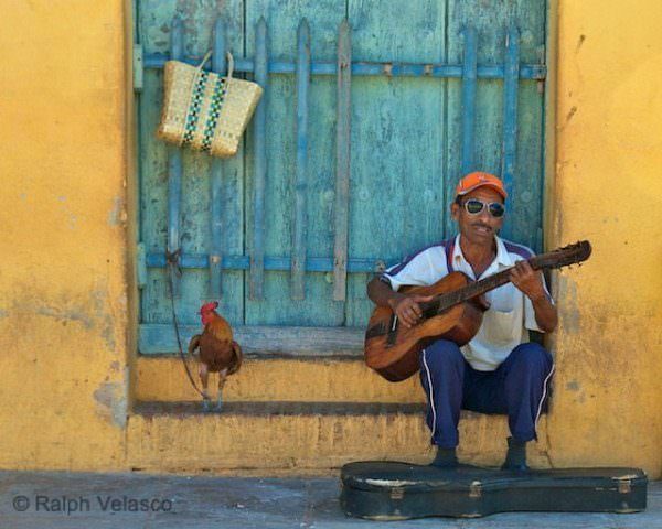 Musician with Rooster - Trinidad, Cuba - Copyright 2010 Ralph Velasco Musician with Rooster - Trinidad, Cuba