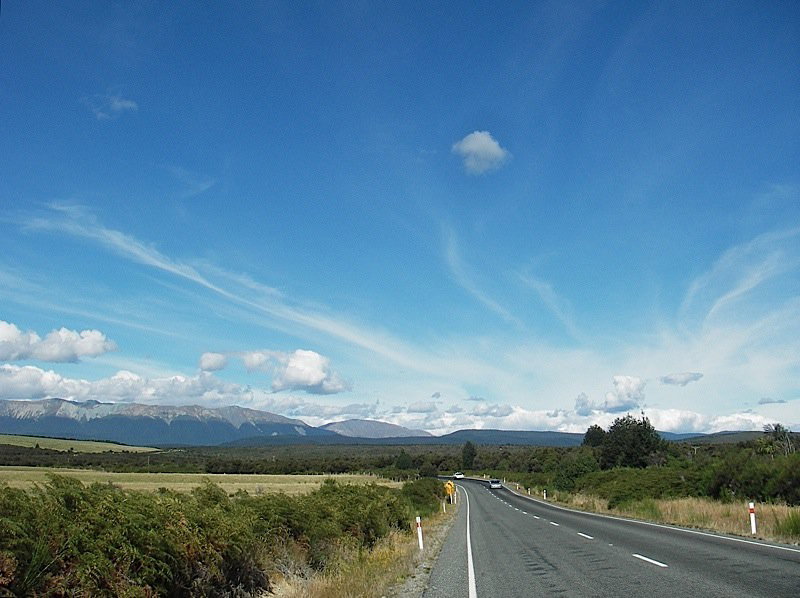 We know how New Zealand works.
