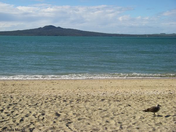 Rangitoto, Auckland New Zealand
