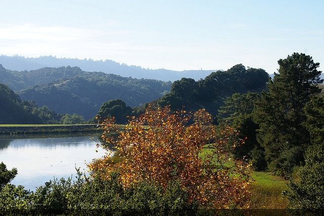 Santa Cruz Mountains by dbaron Santa Cruz Mountains by dbaron