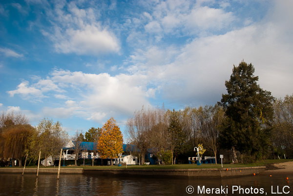 Photo of Tigre during a boat ride