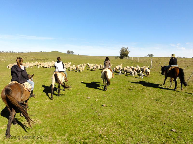 Cities and cowboys on a South American tour: the Uruguay podcast