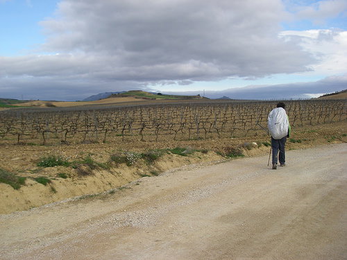The Camino de Santiago de Compostela &mdash; the Camino Franc&eacute;s