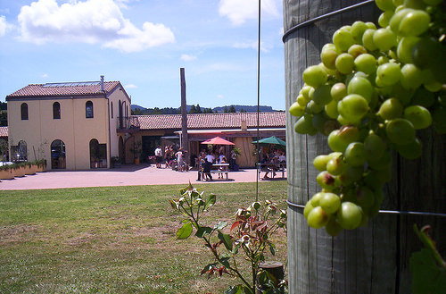 ascension-winery