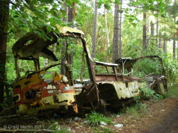 bus fades into the forest of eua tonga travel photo - How to buy travel insurance podcast