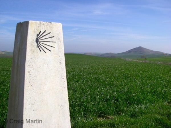 Marker! A scallop shell points the way on the Franc&eacute;s