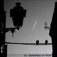 missed-flight-plane-in-sky-square