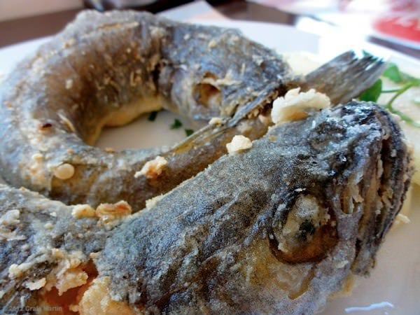 pescadilla - fish with its tail in its mouth Pescadilla