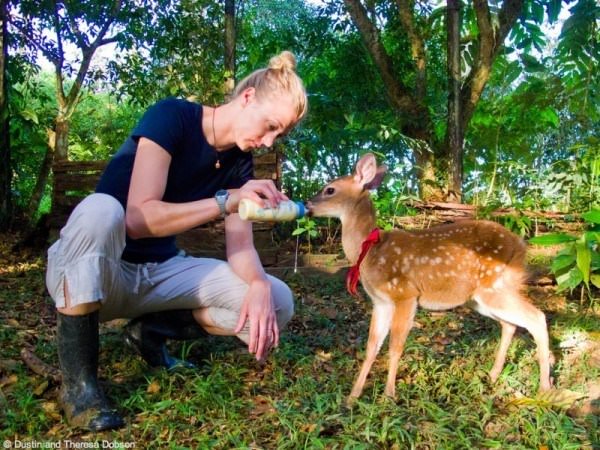 Theresa bottle-feeding a fawn at Rio San Juan, Nicaragua