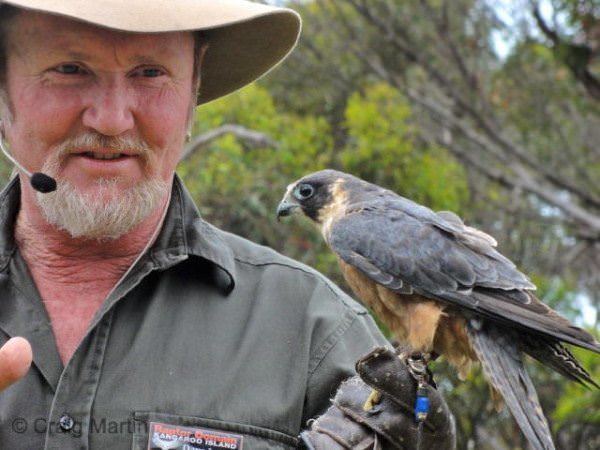 things to do kangaroo island australia 11 - Nine Spectacular Things to do on Kangaroo Island