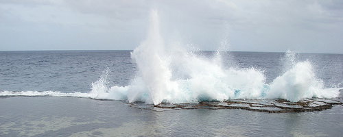 tonga blowholes tonga blowholes
