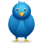twitter - Contact