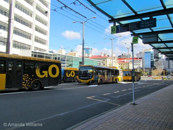wellington buses new zealand